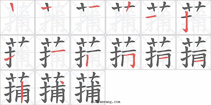 蒱字笔顺分步演示图