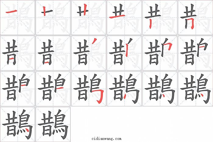 鵲字笔顺分步演示图