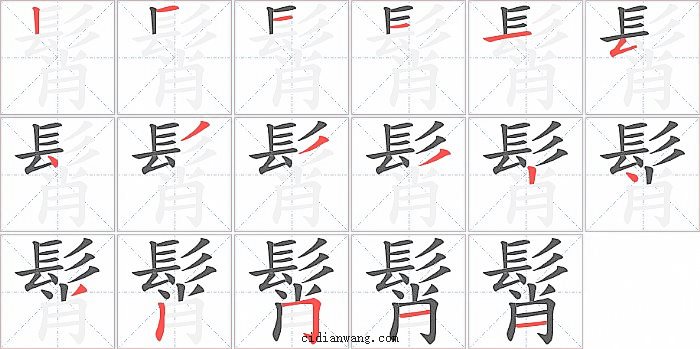 髾字笔顺分步演示图