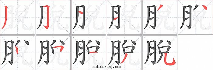 脫字笔顺分步演示图