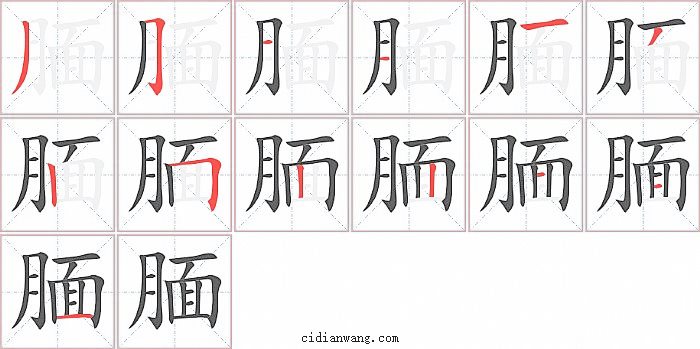 腼字笔顺分步演示图