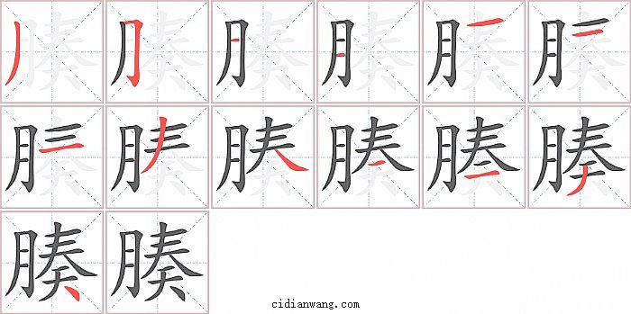 腠字笔顺分步演示图