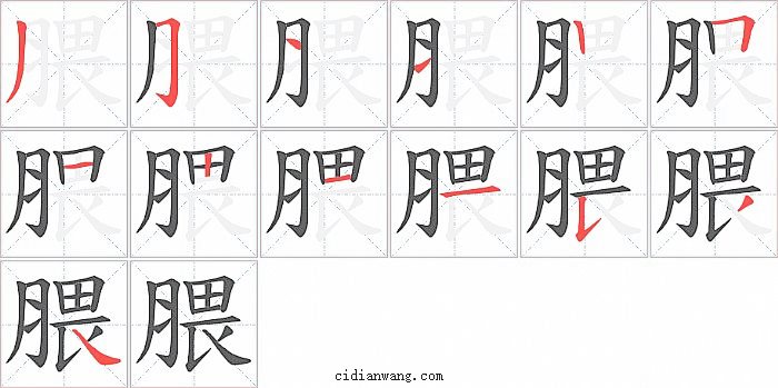 腲字笔顺分步演示图