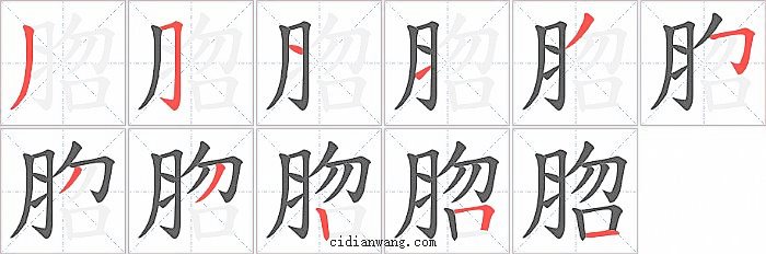 脗字笔顺分步演示图