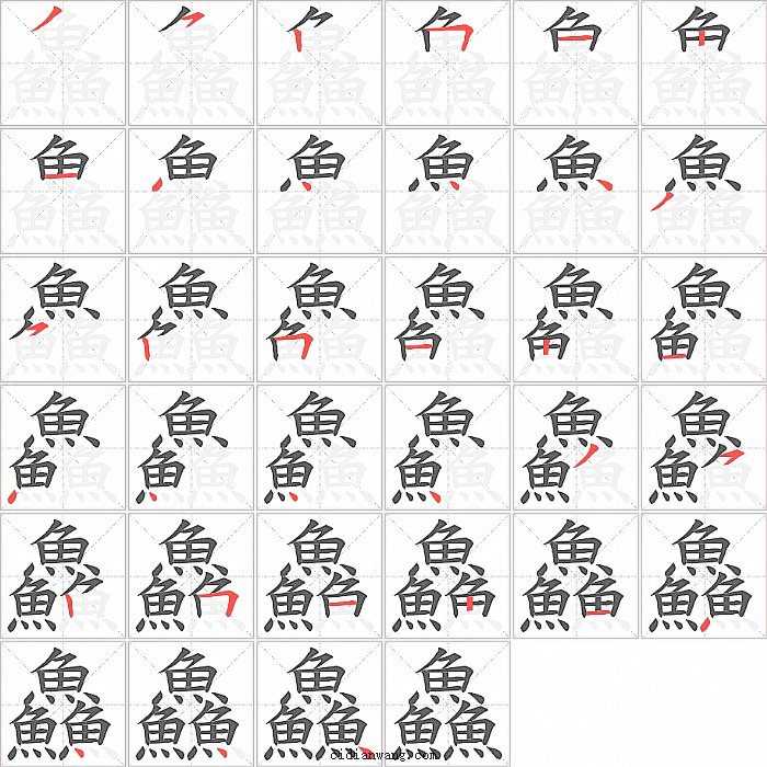 鱻字笔顺分步演示图