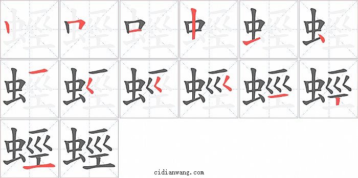 蛵字笔顺分步演示图