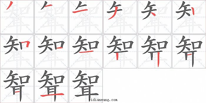 聟字笔顺分步演示图