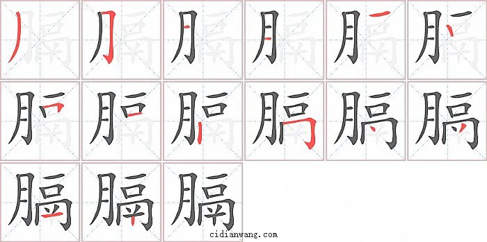 膈字笔顺分步演示图