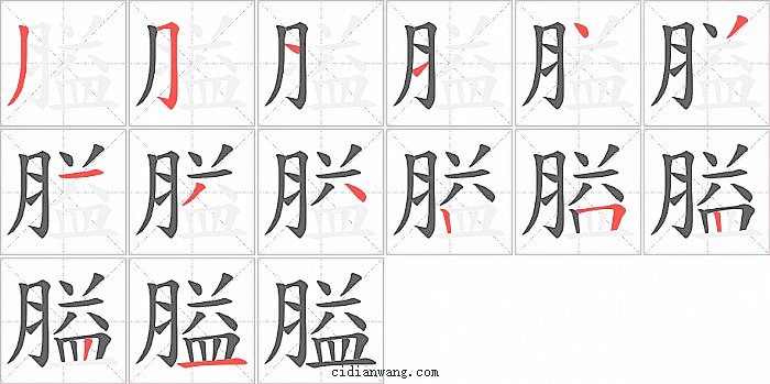 膉字笔顺分步演示图