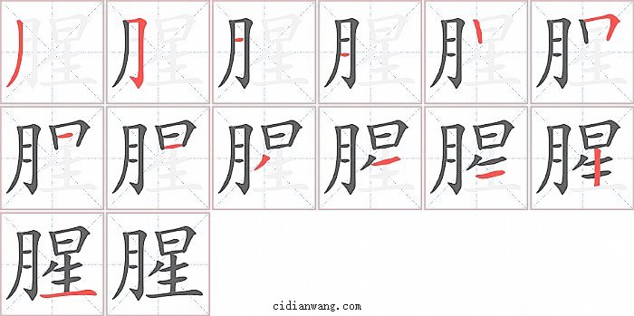 腥字笔顺分步演示图