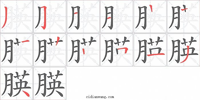 朠字笔顺分步演示图