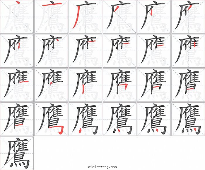 鷹字笔顺分步演示图