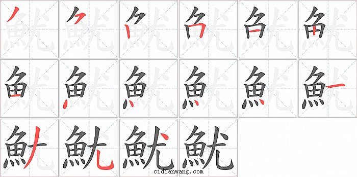 魷字笔顺分步演示图