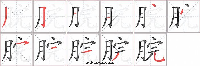 脘字笔顺分步演示图