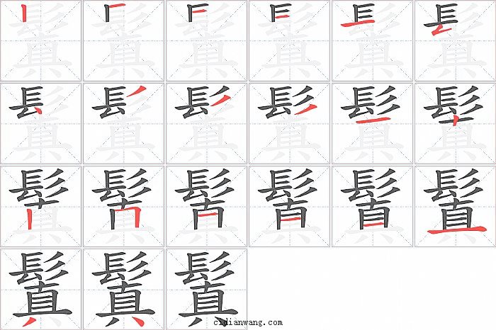 鬒字笔顺分步演示图