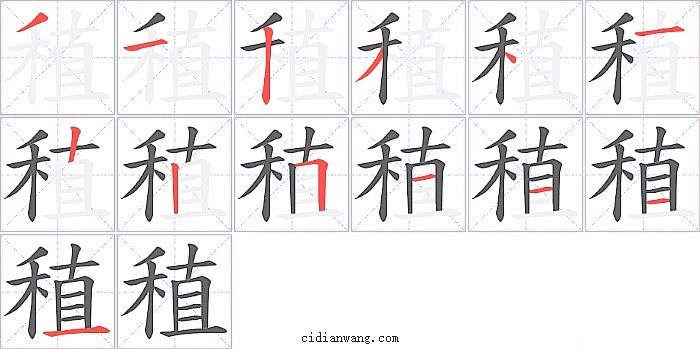 稙字笔顺分步演示图