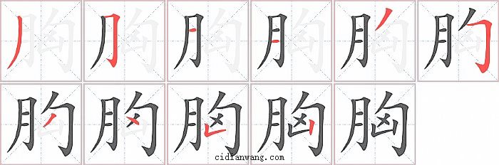 胸字笔顺分步演示图