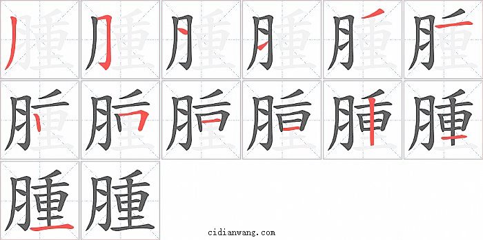 腫字笔顺分步演示图