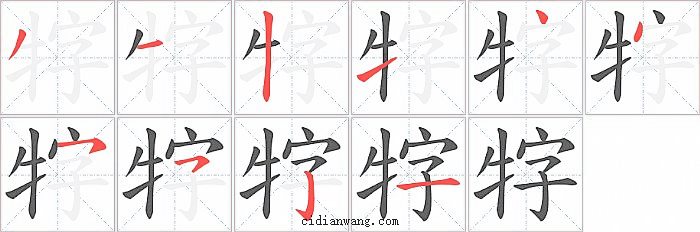 牸字笔顺分步演示图