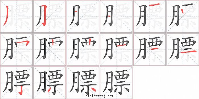 膘字笔顺分步演示图