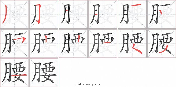 腰字笔顺分步演示图