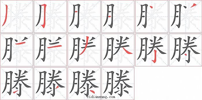 滕字笔顺分步演示图