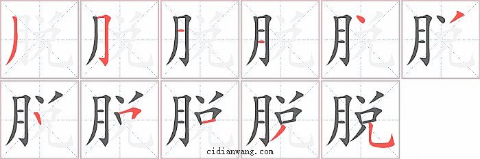 脱字笔顺分步演示图