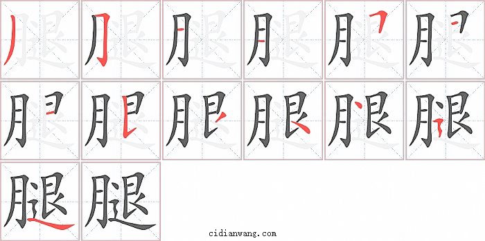 腿字笔顺分步演示图