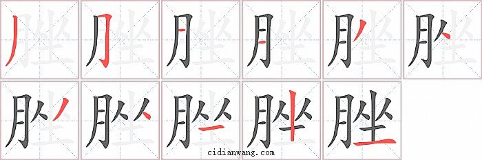 脞字笔顺分步演示图