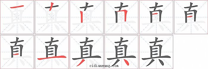 真字笔顺分步演示图