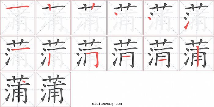 蒲字笔顺分步演示图