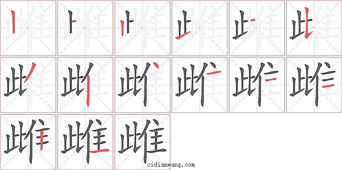 雌字笔顺分步演示图