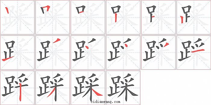 踩字笔顺分步演示图