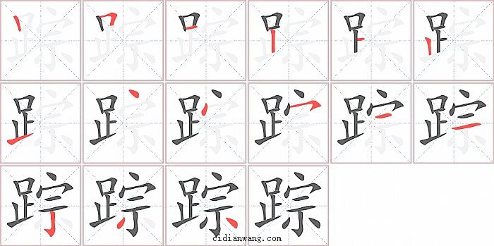 踪字笔顺分步演示图