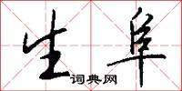 生阜怎么写好看