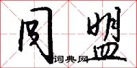 同盟怎么写好看