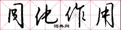 同化作用怎么写好看