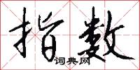 指数怎么写好看