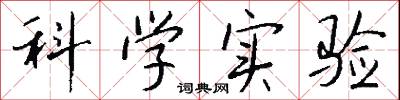 科学实验怎么写好看