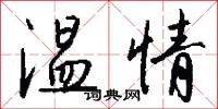 温情怎么写好看