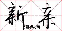 新亲怎么写好看