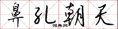 鼻孔朝天怎么写好看