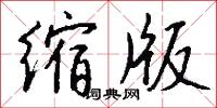 缩版怎么写好看