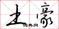 土豪怎么写好看