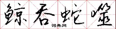 鲸吞蛇噬怎么写好看