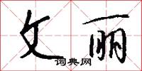 文丽怎么写好看