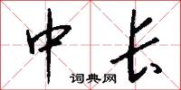 中长怎么写好看