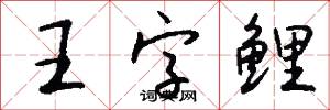 王字鲤怎么写好看