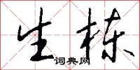 生栋怎么写好看