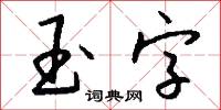 玉字怎么写好看